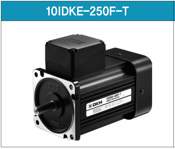 Động Cơ Cảm Ứng DKM - 10IDKE-250F-T