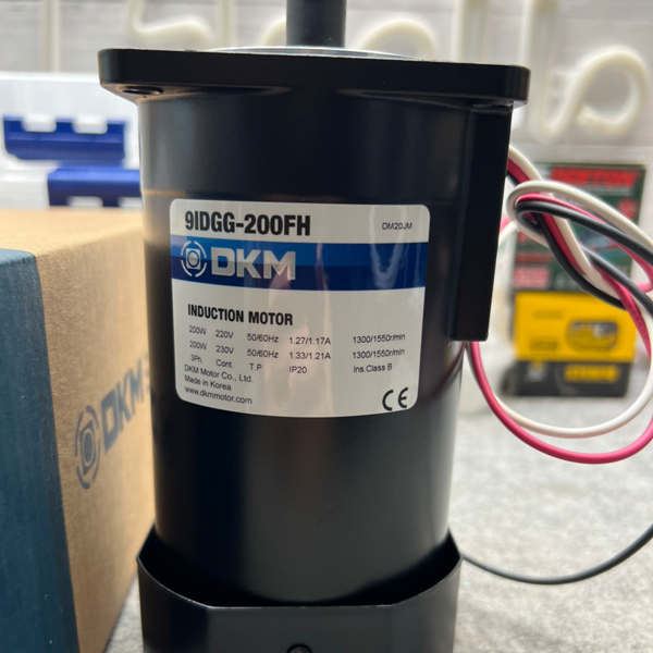 Motor DKM 3Pha 220V 200W- Model: 9IDGG-200FH
