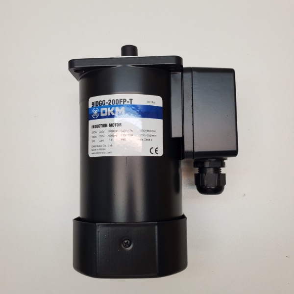 Motor DKM 3Pha 220V 200W- Model: 9IDGG-200FP-T