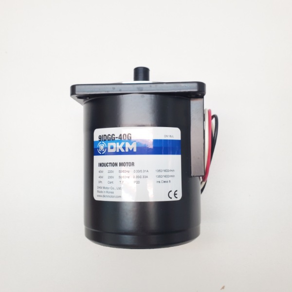 Motor DKM 3Pha 220V 40W- Model: 9IDGG-40G