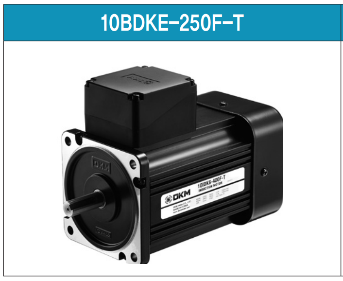 Motor DKM Có Thắng Từ - Model: 10BDKE-250F-T