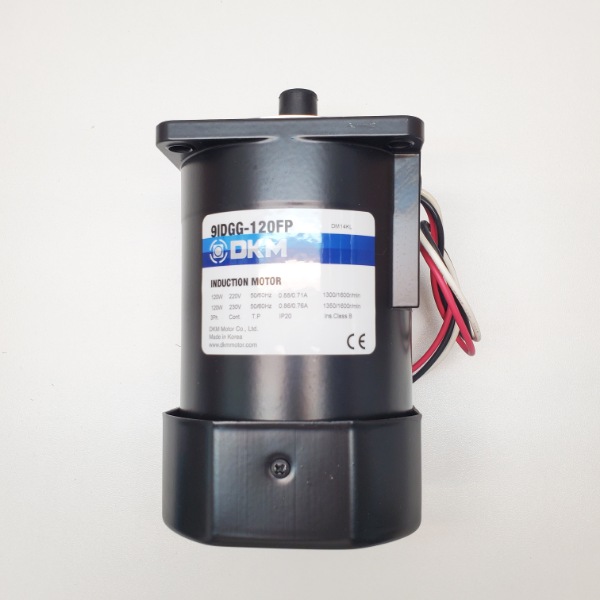Motor DKM 3Pha 220V 120W- Model: 9IDGG-120FP