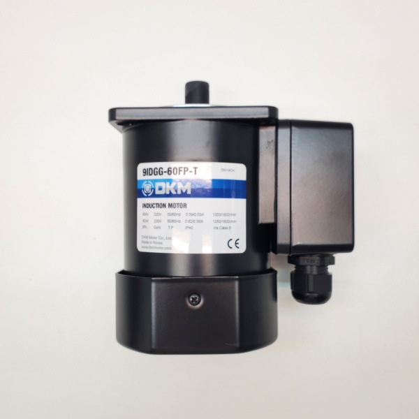 Motor DKM 3Pha 220V 60W- Model: 9IDGG-60FP-T