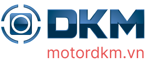 CHIẾN LƯỢC MARKETING CỦA MOTOR DKM 