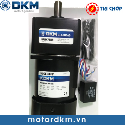 Motor DKM gắn hộp giảm tốc